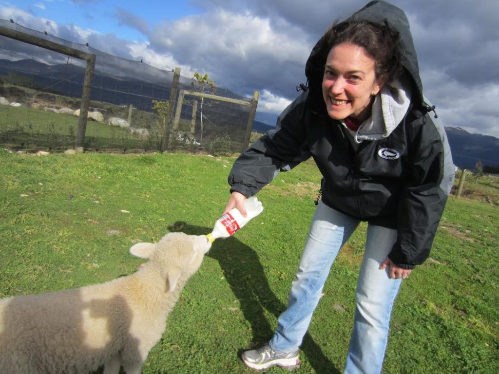 ...and feeding a lamb with a Coca-Cola bottle.