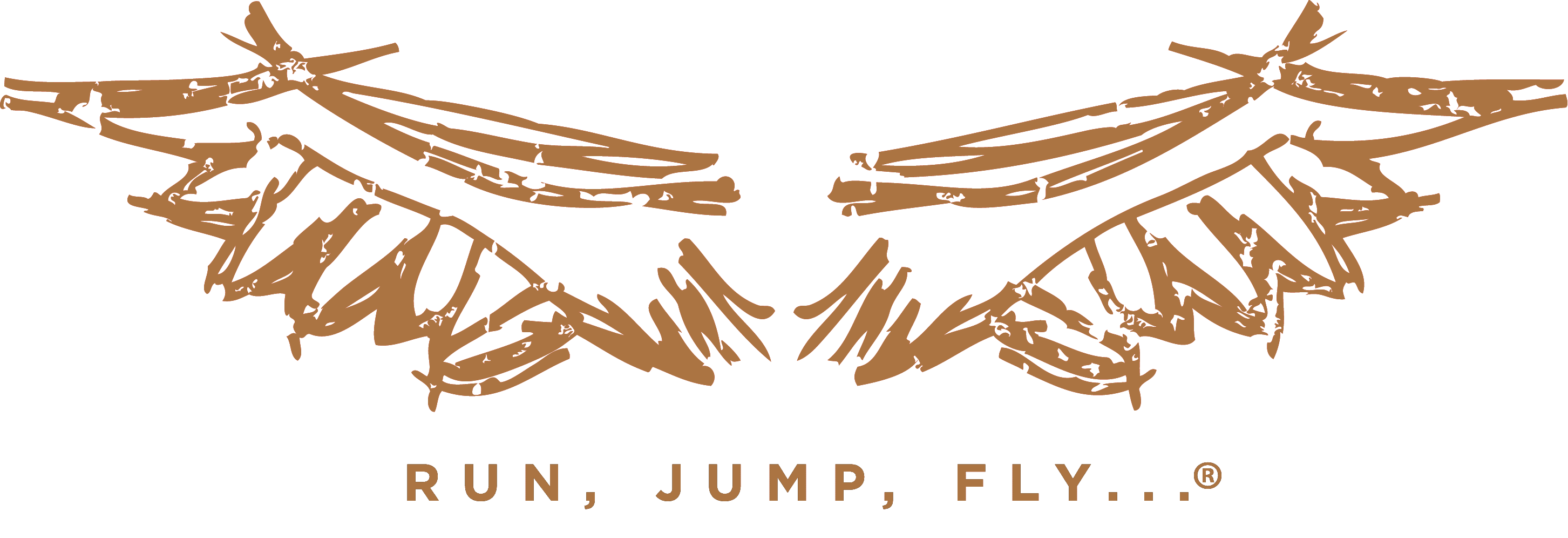 Run Jump Fly Logo